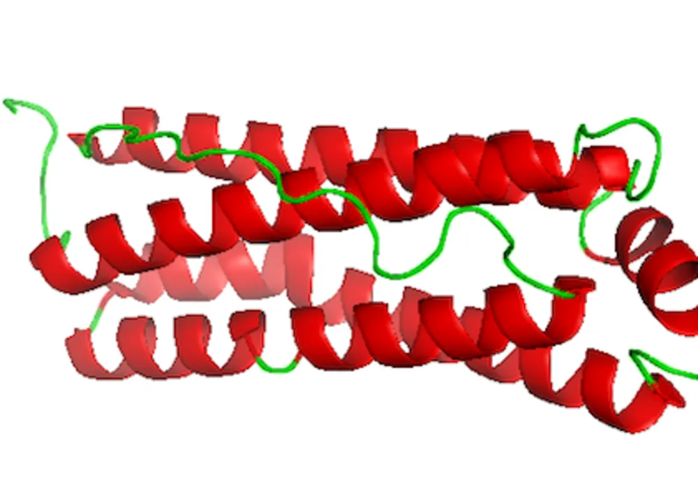 Iron Therapy For Chronic Heart Failure