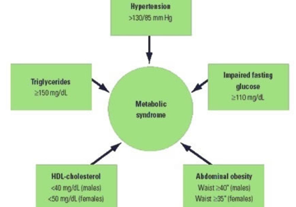 People with Metabolic Syndrome Face Higher Cardiovascular Death Risk