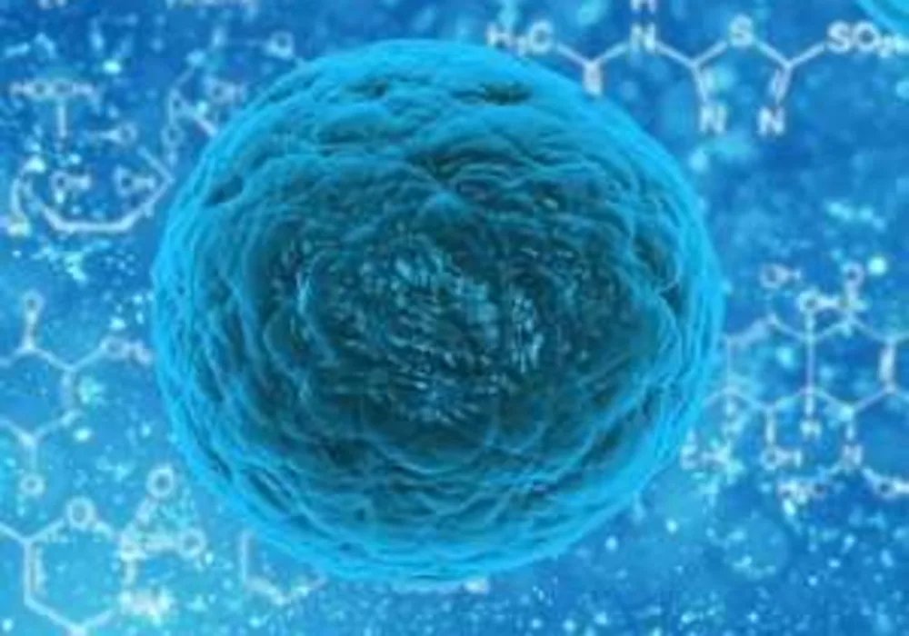 Stem Cell