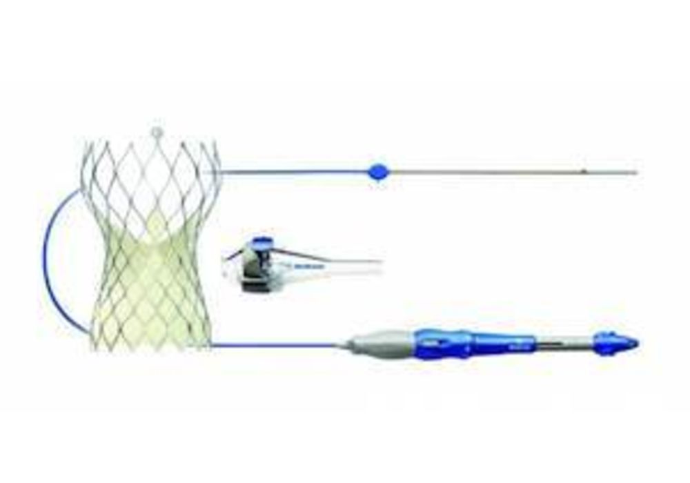 The Medtronic CoreValve&reg; Evolut&reg; R Transcatheter Valve.