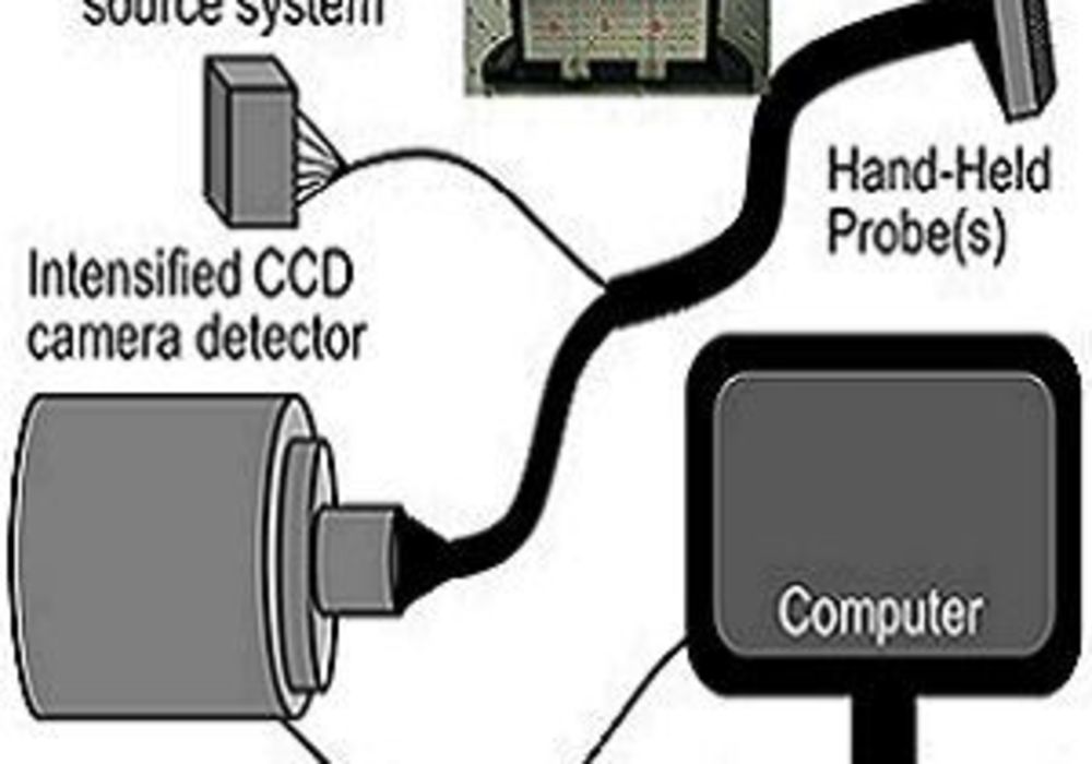 schematic of the handheld optical imaging system 