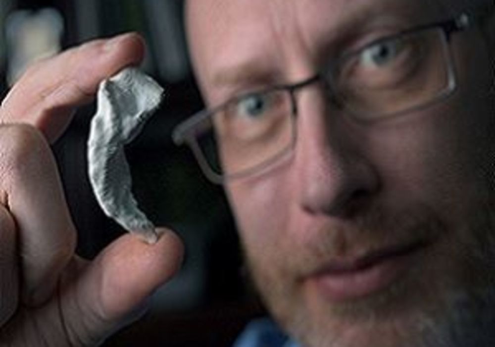 Neurobiologist Craig Stark holding a 3D model of his own hippocampus