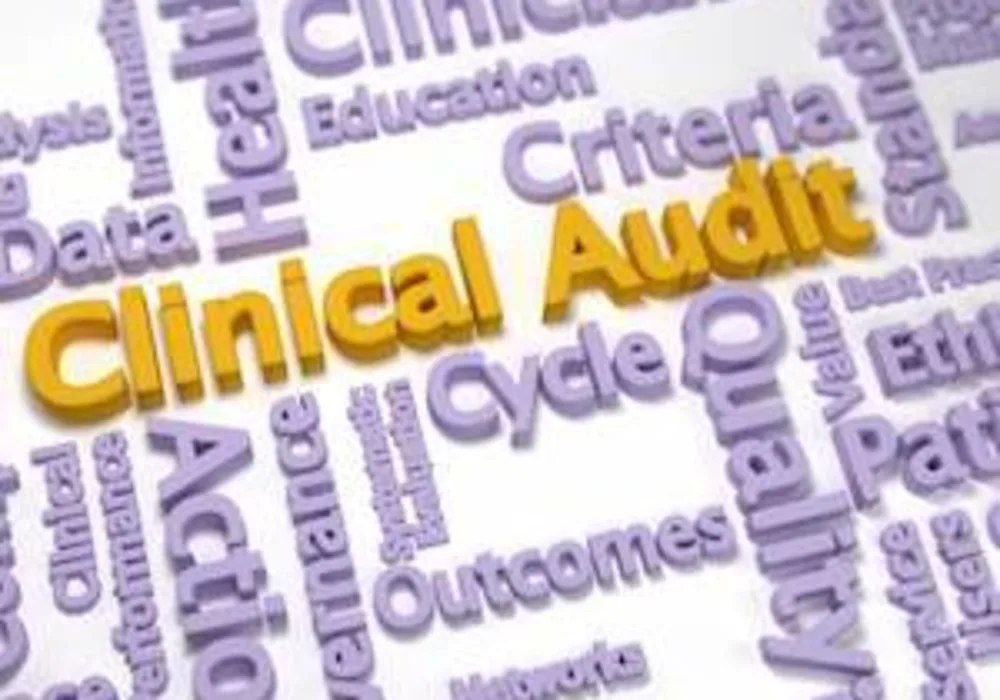 Clinical Audit spelled out