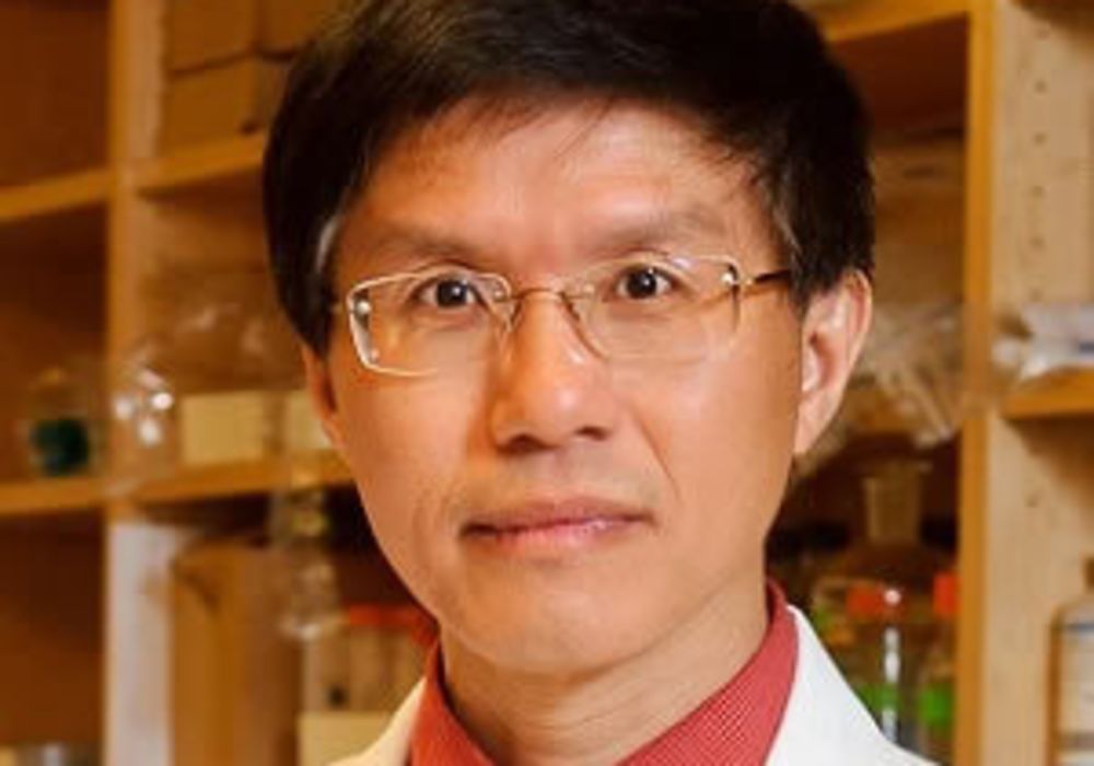 Zezong Gu, Ph.D., Associate professor of pathology and anatomical sciences at the MU School of Medicine and lead author of the study.