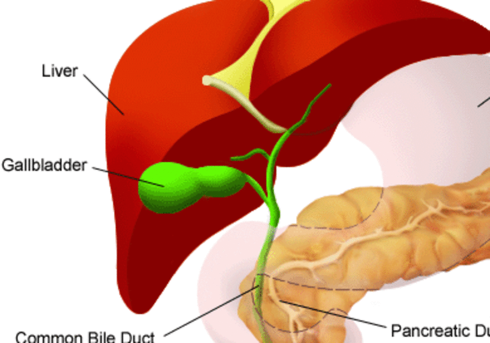 http://healthinfo.uclahealth.org/Search/85,P00416