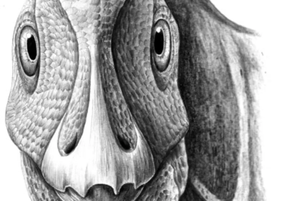 A reconstruction of the young, deformed Telmatosaurus individual, with the ameloblastoma just becoming visible on its lower left jaw. Reconstructive sketch by Mihai Dumbravă.