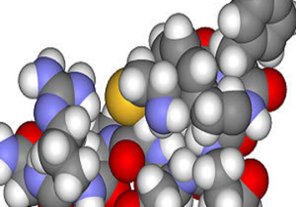 Study: Vasopressin vs. Norepinephrine in Septic Shock - VANISH trial