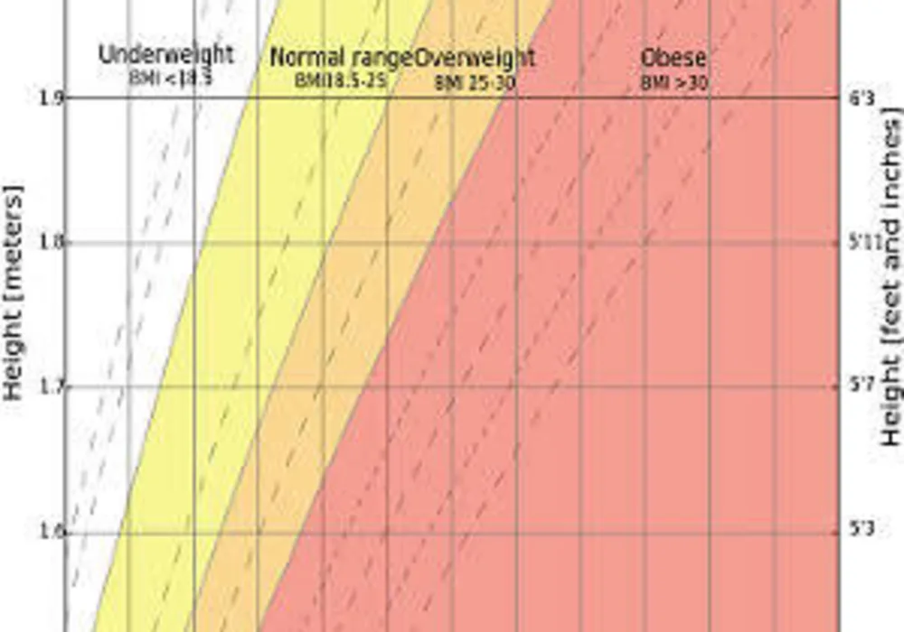 Higher BMI Does Not Increase Risk of Heart Attack or Death 