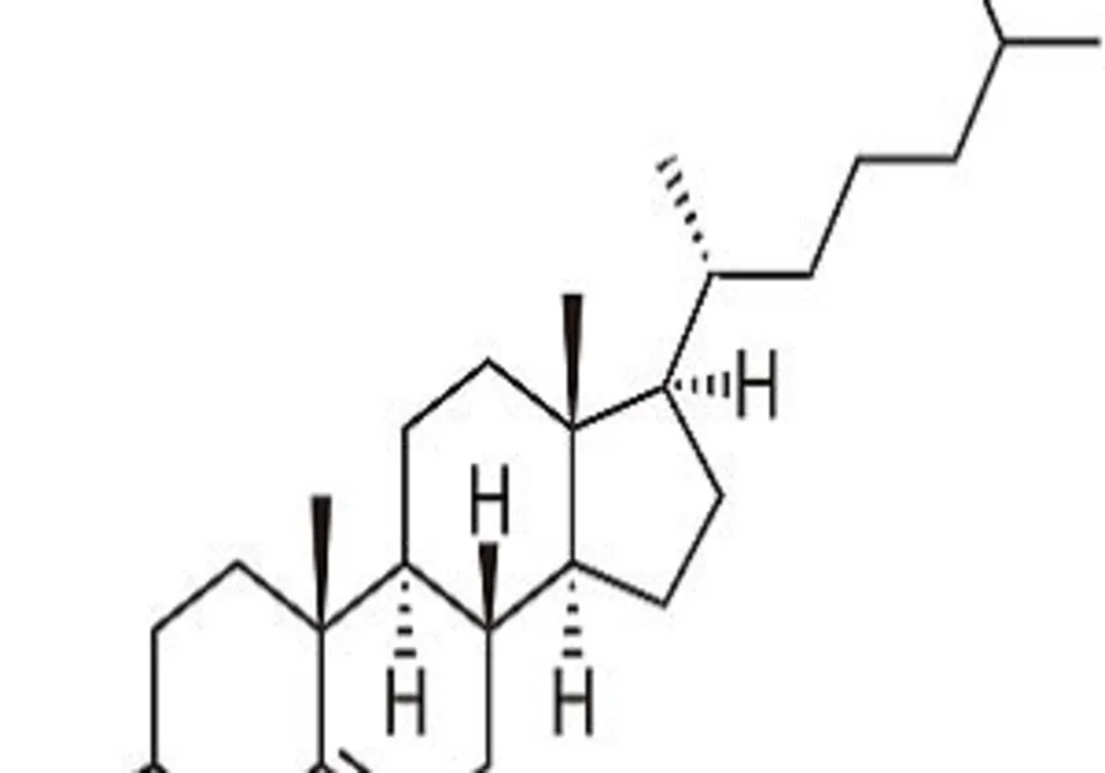 Insufficient Evidence For Lipid Disorders Screening in Children