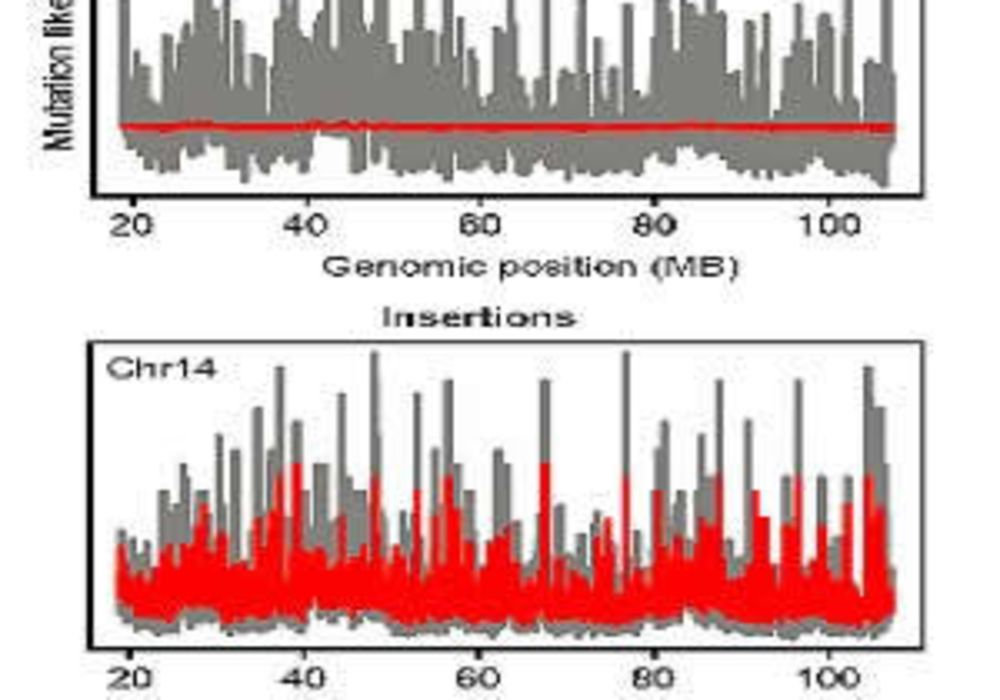 Radiation and DNA Damage