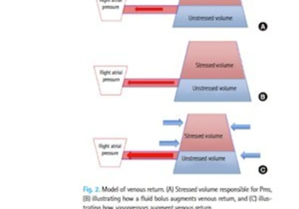 Figure 2 from article, CC by 3.0 licence