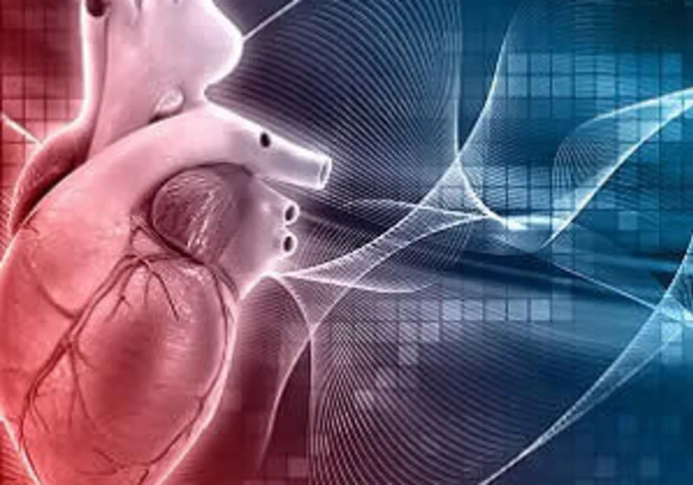 Combining the Intermountain Mortality Risk Score (IMRS), developed by clinicians at Intermountain Healthcare, with the traditional CHA2DS2-VASc risk score, was more accurate in identifying at-risk patients than using the traditional score alone, according