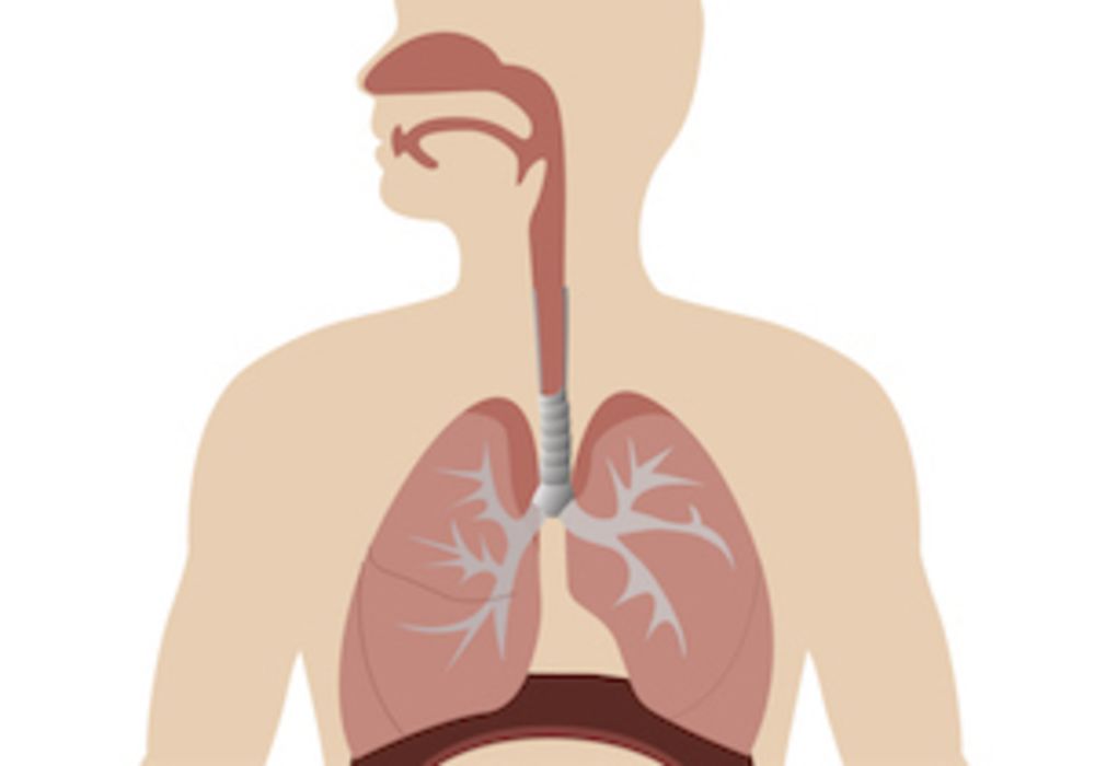 Clinical significance of viral detection in critically ill patients 