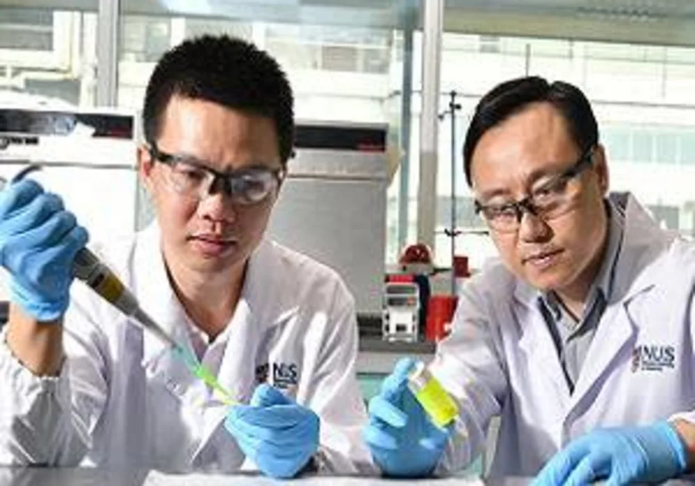 Prof Liu Xiaogang (right) and Dr Chen Qiushui (left) developed perovskite nanocrystals which, when used as a scintillator material in X-ray imaging, reduce the required radiation dose to deliver higher resolution imaging.