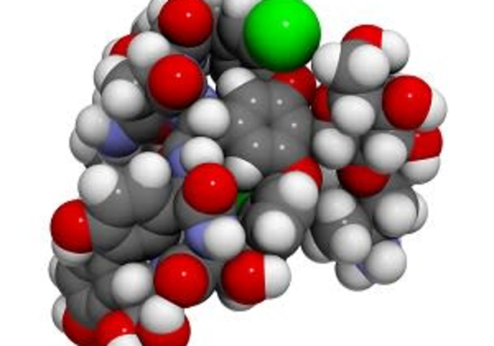 Vancomycin pharmacokinetics in critically ill obese patients