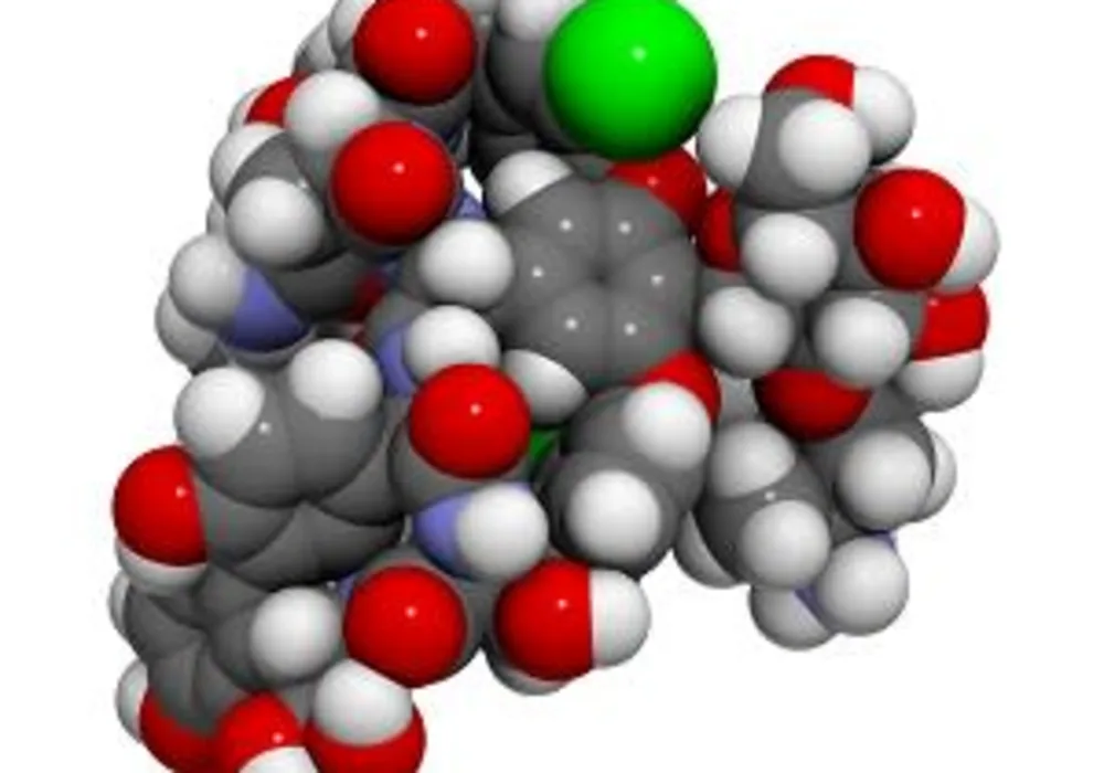 Vancomycin pharmacokinetics in critically ill obese patients