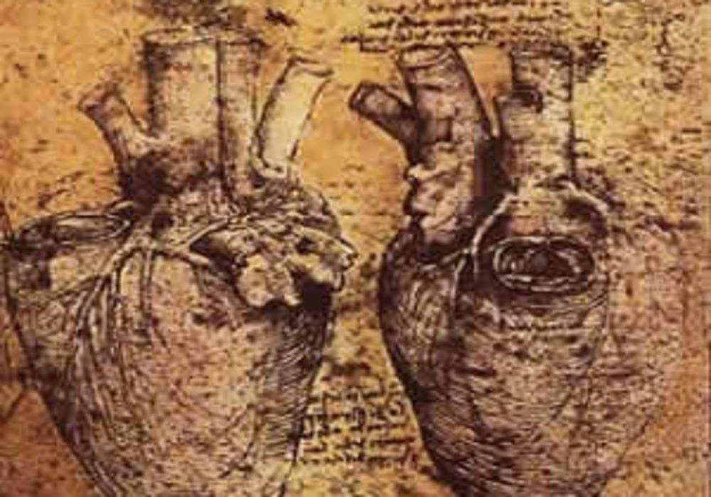 Leonardo da Vinci and his Study of the Heart