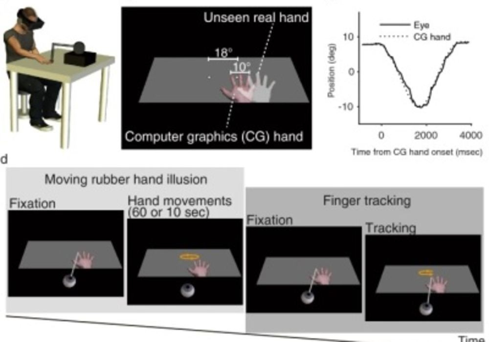 VR for Better Motor Control