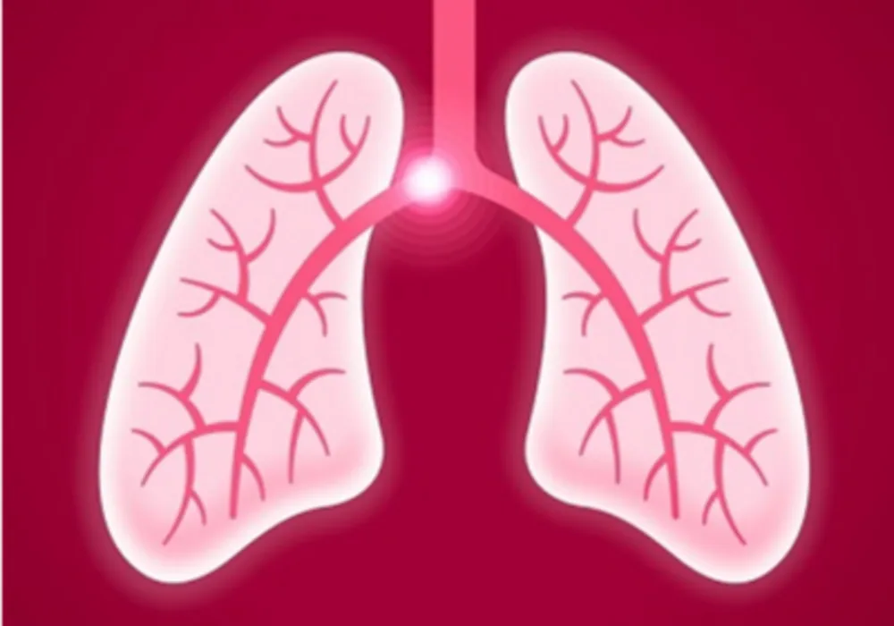 Human Factors Engineering Improves CDS Usability for Pulmonary Embolism Diagnosis