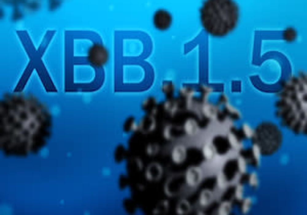 What Do We Know About XBB.1.5? 