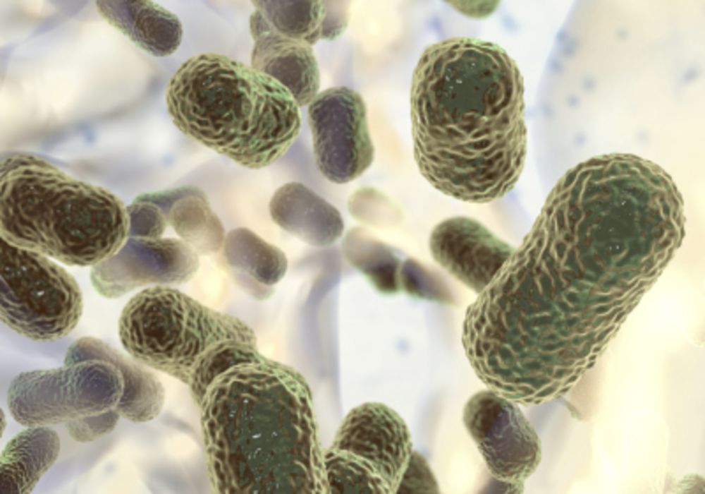 Artificial Intelligence Identifies Superbug-Killing Antibiotic