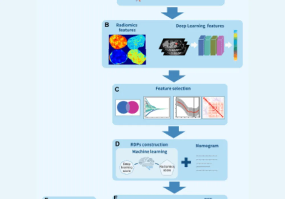 Novel Imaging Technique Offers Precise Prediction of Lymph Node Metastasis in Pancreatic Tumours