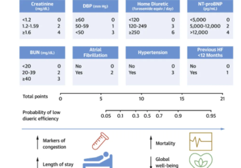 Machine Learning Predicts Poor Diuretic Response in Acute Decompensated Heart Failure