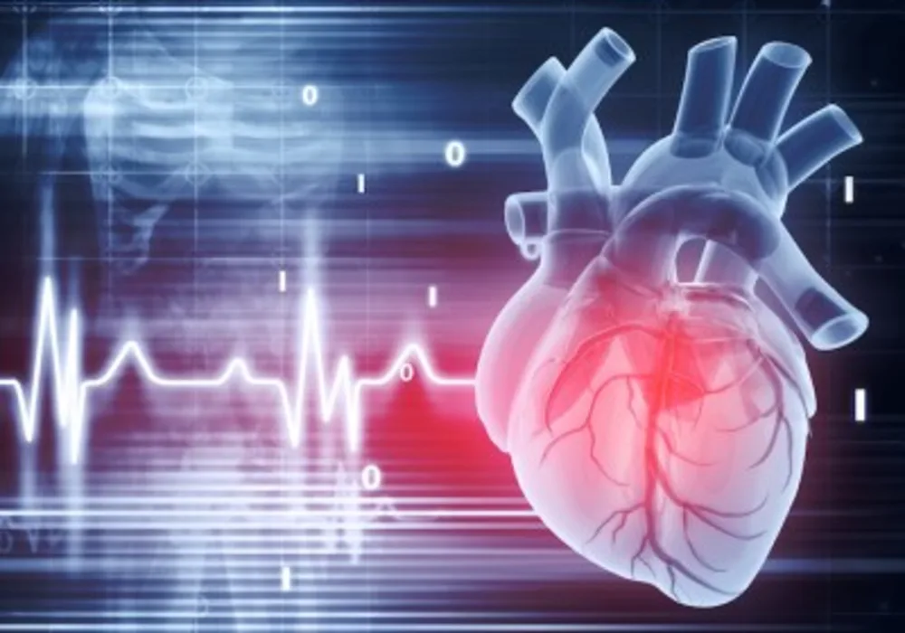 Relationship Between Poverty and CVD Risk Factors