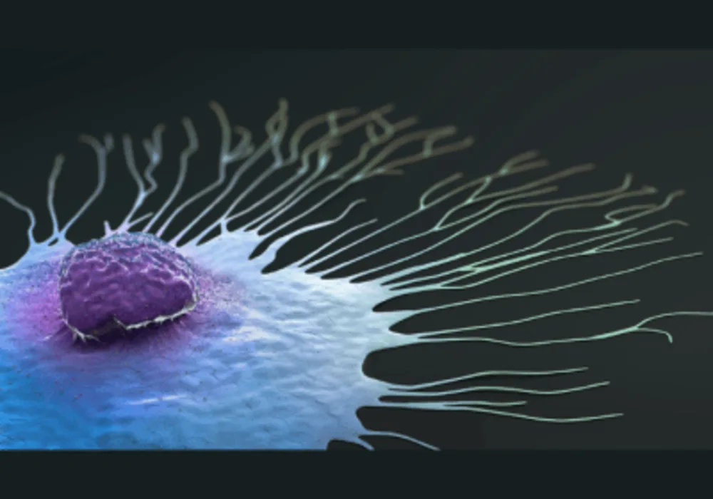 Fatty Acid Metabolism Biomechanical Influence on Breast Cancer Metastasis