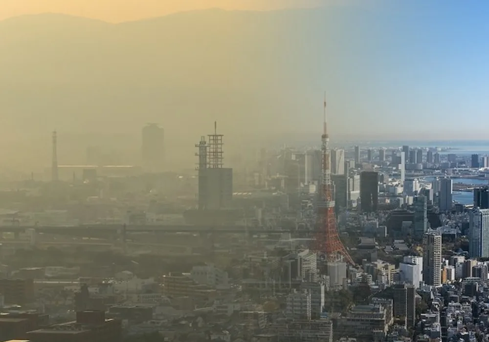 Air Pollution, Depression Linked with Heart Disease Deaths