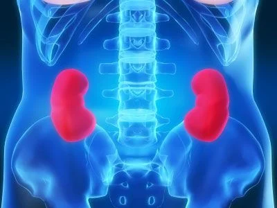 Robotic Ultrasound Has Added Benefit in Removing Kidney Cancers