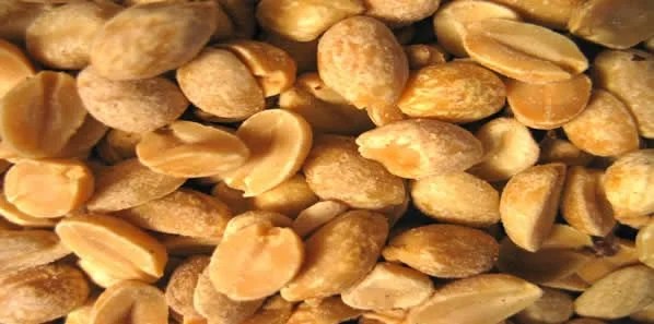 Nuts and Peanuts Reduce Risk of Cardiovascular Death