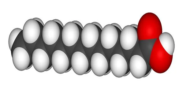 CAD and Saturated Fat