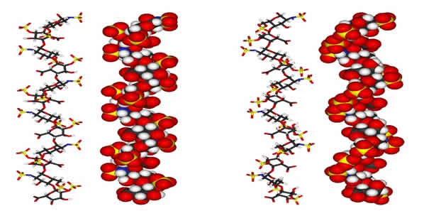 Heparin Antidote Under Development