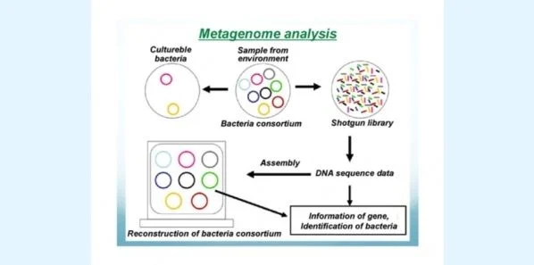 New DNA Sequencing Method to Diagnose TB