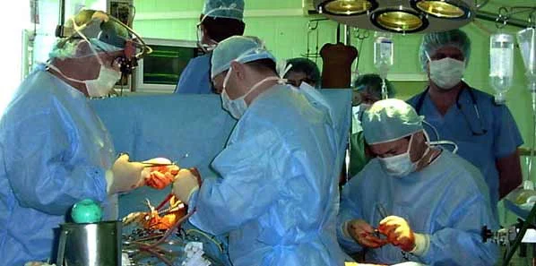 Heart Valve Replaced Outside of Heart 