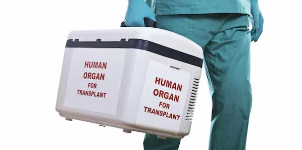 Study: Liver Transplant Patients Seek Closer Involvement 