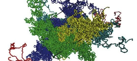 25 Years of Computer Progress Benefit DNA Study