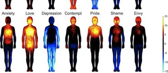 Our Emotional Map: The Body Atlas Revealed