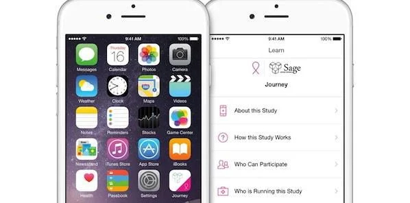 Patient to Partner: App Tracks Breast Cancer Journey For Research