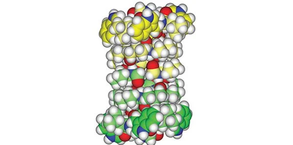 New Screening Method May Identify Drug Toxicity