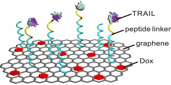 Flying Carpet Technique Delivers Two Anticancer Drugs