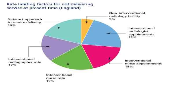 CIRSE 2014: The Ideal Interventional Radiology Service 