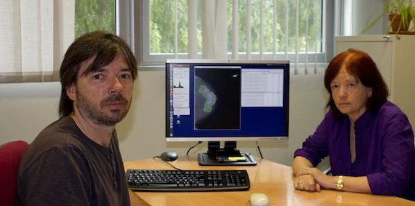 Breast Density: New Software Developed by Spanish Researchers