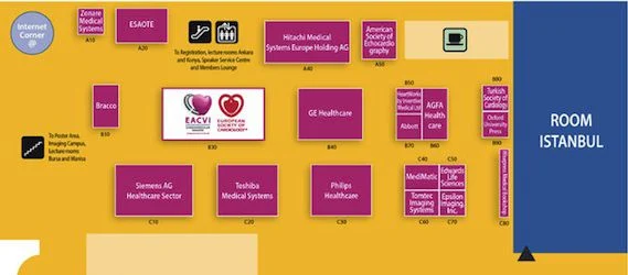 EuroEcho-Imaging 2013: No Heart Disease Diagnosis and Treatment Without Imaging