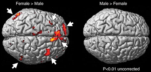 Memory after Concussion 