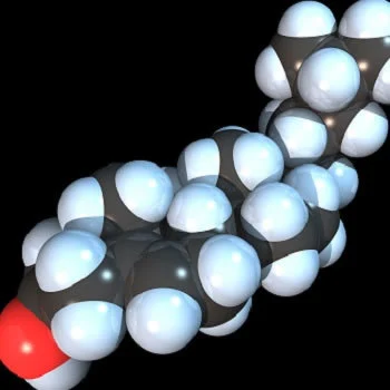 Cholesterol 