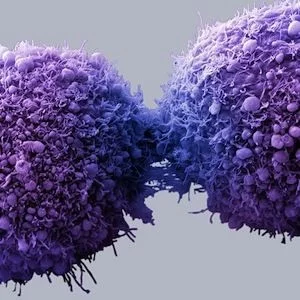 BIg Data and Cancer