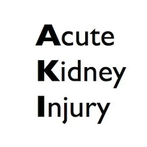 Acute Kidney Injury Recommendations Published 