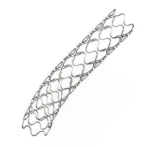 FDA Approves First Absorbable Cardiac Stent